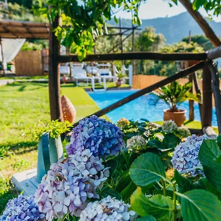 My Exclusive Italy - Sorrento Coast For Families - Pool & Views * Colli di Fontanelle